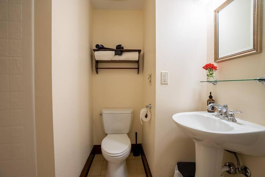 סיאטל Charming 1Bd Suite In Capitol Hill - Foxglove Inn מראה חיצוני תמונה
